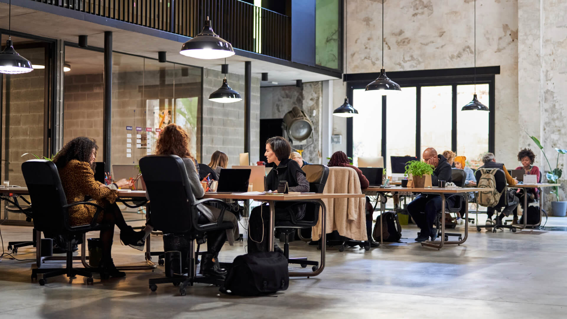 Variate Office